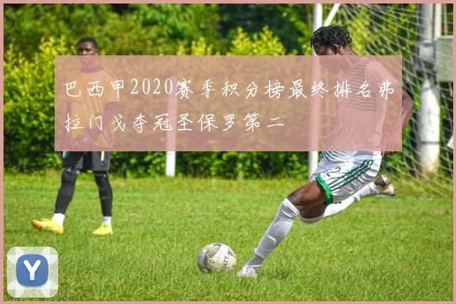 巴西甲2020赛季积分榜最终排名弗拉门戈夺冠圣保罗第二