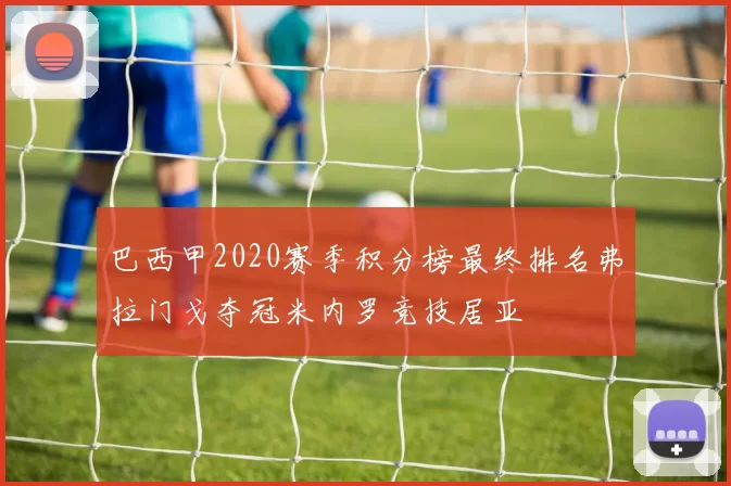 巴西甲2020赛季积分榜最终排名弗拉门戈夺冠米内罗竞技居亚