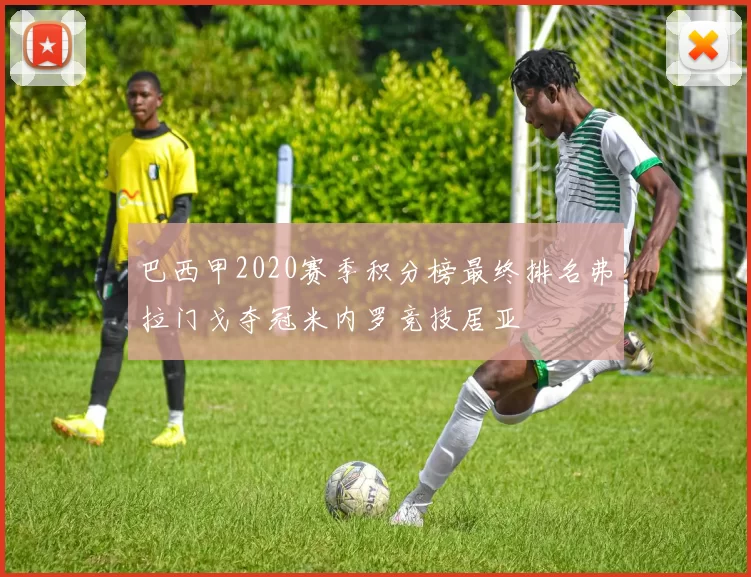 巴西甲2020赛季积分榜最终排名弗拉门戈夺冠米内罗竞技居亚
